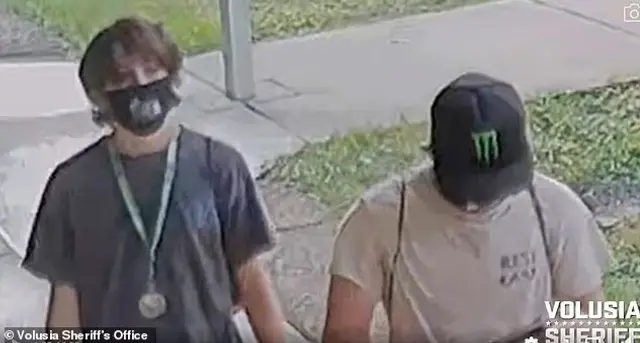 Menores destruyeron biblioteca en Florida. Menores destruyeron biblioteca en Florida.