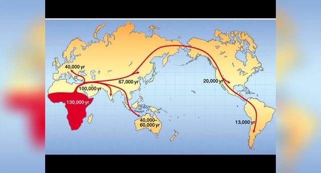 Teoría oceánica de Paul Rivet: cuál es, mapa, Tesis de Thor Heyerdahl