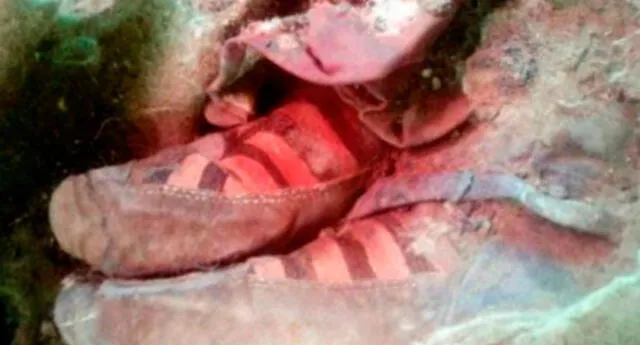 Fangoso expedición Desear Insólito: expertos encontraron a momia de 1.500 años que usaba zapatillas  Adidas (VIDEO) | El Popular