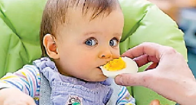 Beneficios del huevo en el crecimiento del niño | El Popular