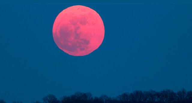 Sigue EN VIVO la Superluna rosada, evento que será visto HOY en todo el mundo Sigue EN VIVO la Superluna rosada, evento que será visto HOY en todo el mundo
