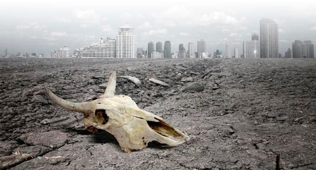 La especie que dominará la Tierra cuando desaparezca la humanidad El Popular