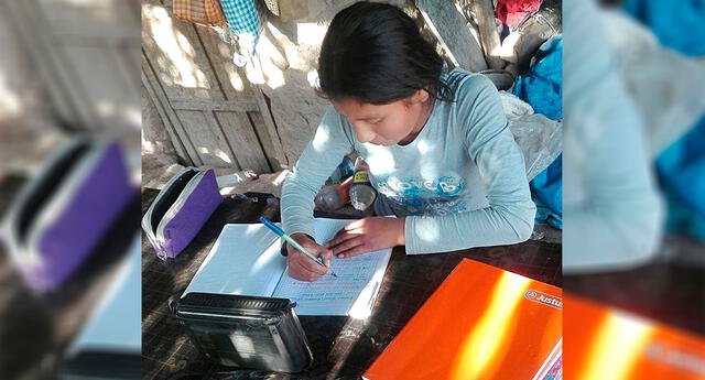 Aprendo en casa, semana 8: TAREA para inicial, primaria y secundaria El Popular