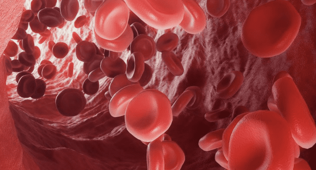 Pacientes con COVID-19 tienen coágulos de sangre en "casi todos los órganos", según autopsia El Popular