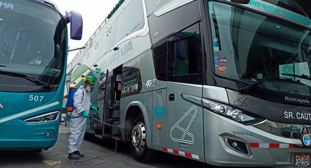 Empresa de transporte interprovincial reiniciará sus actividades: "Los pasajes no van a subir" El Popular