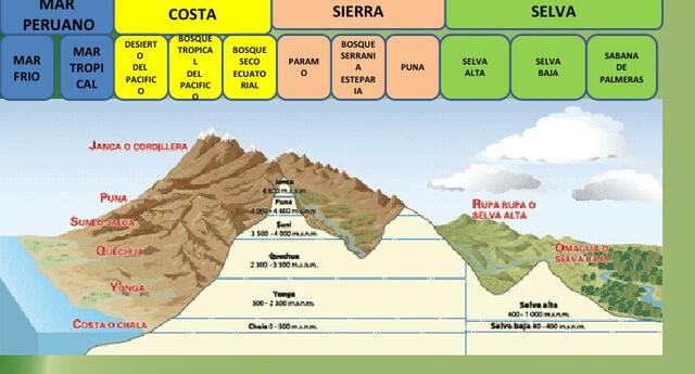 Conoce las 8 regiones naturales del Perú: Ecorregiones de la costa | El  Popular