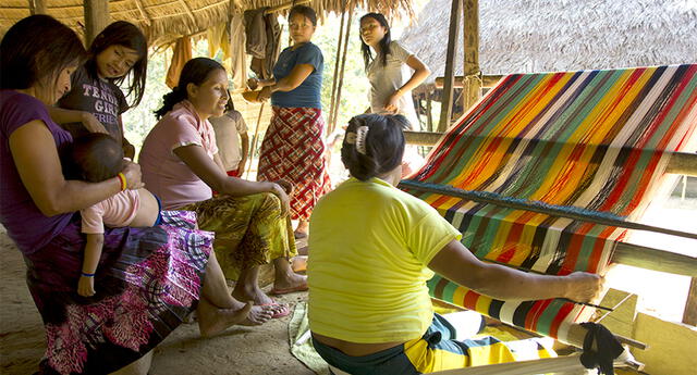 Organizaciones de Perú y Ecuador buscan proteger bosque amazónico El Popular