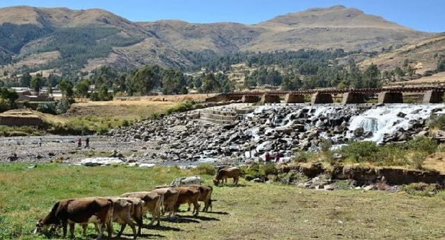Conoce las 8 regiones naturales del Perú: Región Suni El Popular