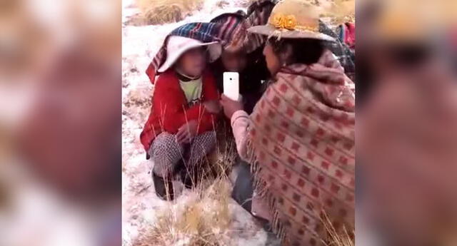 Aprendo en casa: escolares de Puno suben al cerro para conectarse a sus clases virtuales El Popular