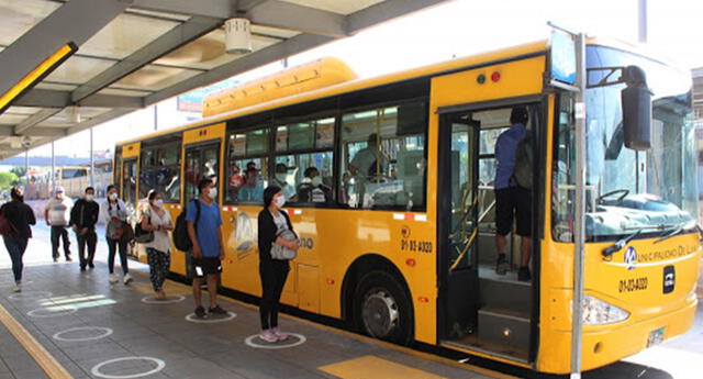 Concesionarias anunciaron disminución gradual de la flota de alimentadores del Metropolitano El Popular