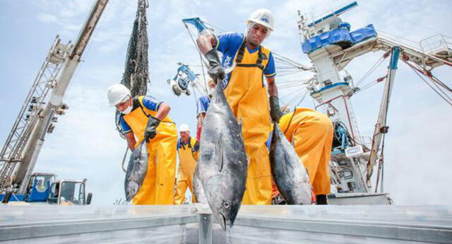 Conoce Las Actividades Económicas Del Perú La Pesca Aprendo En Casa Clases Escolares 9821