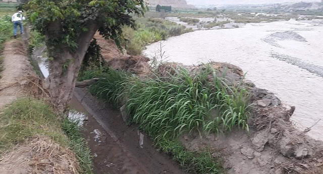 La Libertad: asesinan de dos balazos a joven de 18 años en Virú El Popular