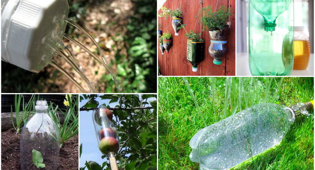 No las botes: ¿Cómo se pueden usar las botellas de plásticos en la jardinería? El Popular