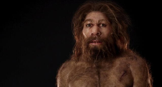 Estudio revela sexo constante entre Homo sapiens y neandertales El Popular