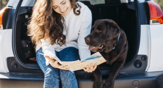 Conoce las mejores recomendaciones para viajar con tu mejor amigo de cuatro patas El Popular