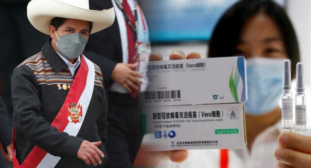 Pedro Castillo firmó contrato por 10 millones de dosis con Sinopharm El Popular