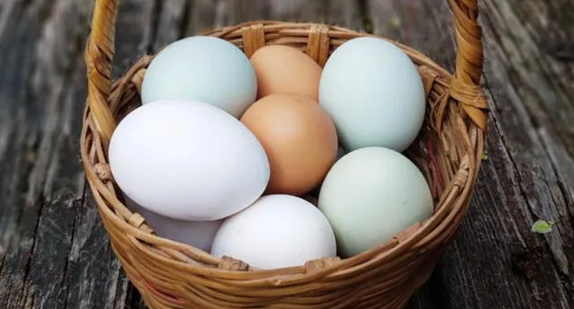 “Ponle huevos a tu vida”: campaña del APA compartirá 20 mil huevos a personas vulnerables