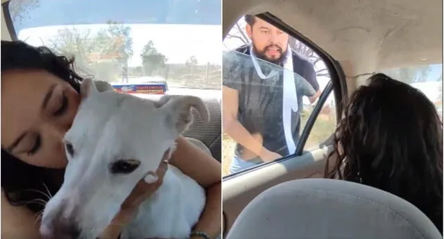 Facebook viral: mujer deja a su novio tirado en la carretera tras enterarse  que abandonó a su perro por no ser de raza, redes sociales, tendencia,  maltrato animal, video viral, Navy |