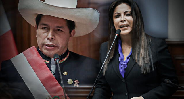 Patricia Chirinos solicitó la vacancia del presidente de la República, Pedro Castillo.