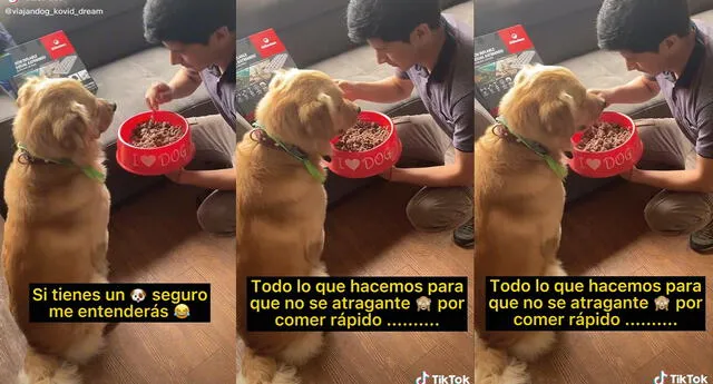 El muchacho realiza este procedimiento con la comida porque su perro come muy rápido. Foto: captura de TikTok