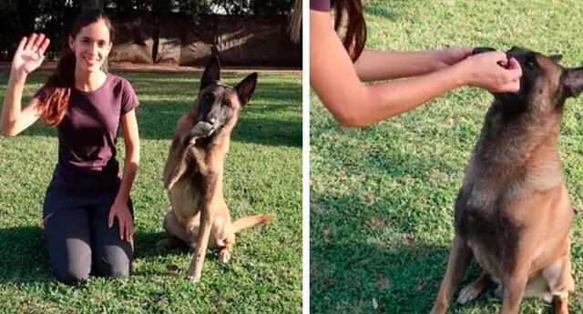 Una tiktoker enseña a realizar unos pasos para que tu mascota aprenda a saludar.