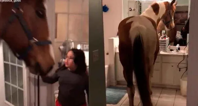 La niña y el caballo se ganaron el cariño de los internautas.