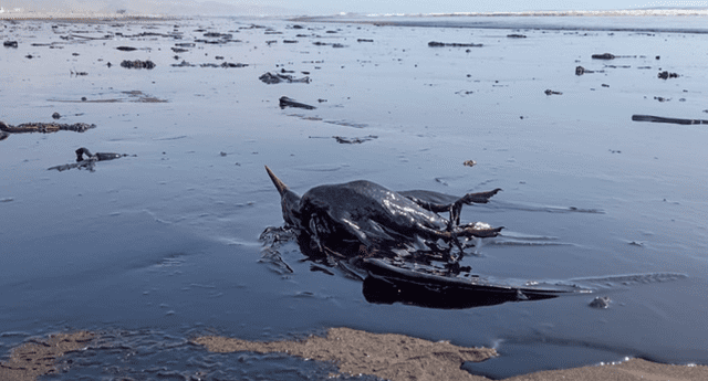 Derrame de petróleo en Perú