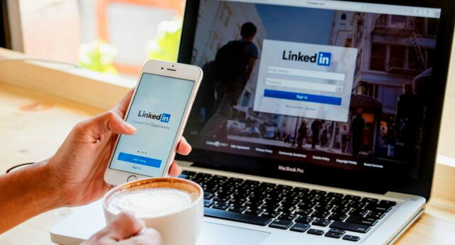 Cómo hacer curriculum vitae para LinkedIn, según Harvard | El Popular