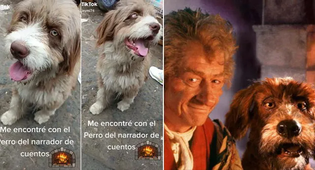 Tiktok Viral Peruano Protagoniza Peculiar Escena Con Un Perro Y Lo Compara Con La Recordada