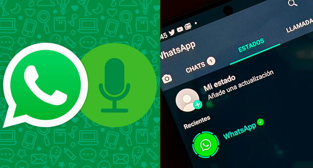 Whatsapp Nueva Actualización Con Estados De Voz Causa Sensación En Twitter El Popular 9123