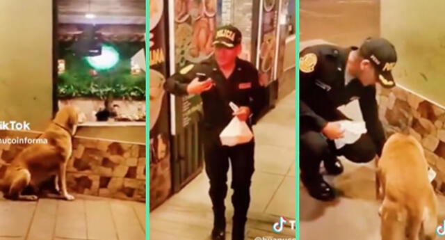 TikTok viral: ¡Conmovedor! Policía se apiada de perrito callejero y le  compra un ¼ de pollo: “Tenía mucha hambre” | El Popular