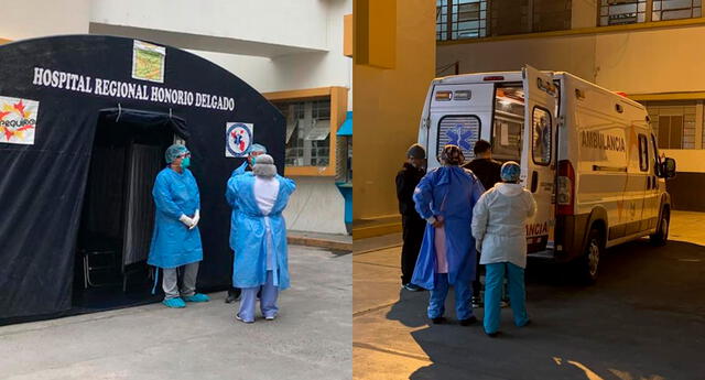 Arequipa: reportan primer caso de rabia humana en paciente internada en el hospital Honorio Delgado | El Popular
