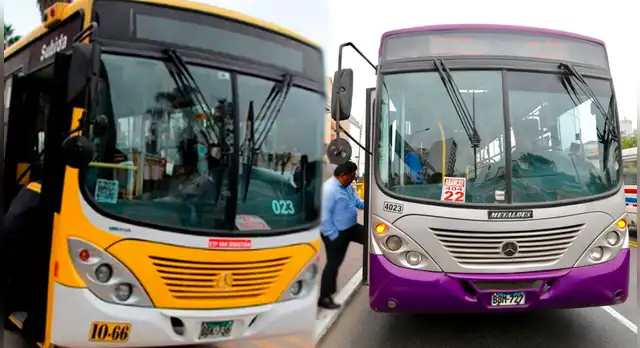  SJL: empresa La 50 cambia de ruta para dar paso al Corredor Morado 