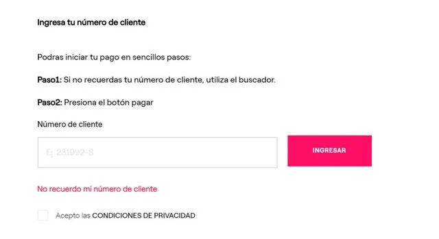 ¡Adiós Enel! Pluz, la empresa china que manejará el 100 % del mercado eléctrico en Lima