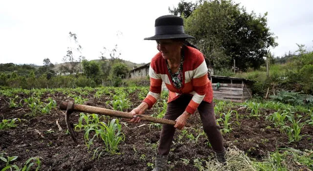  Día del Campesino se conmemora cada 24 de junio.   