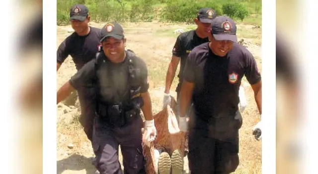 Su amigo se ahorcó en su fundo.