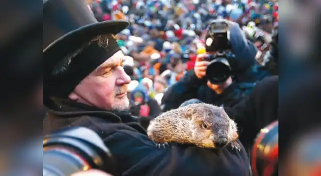 Marmotita. Marmotita.