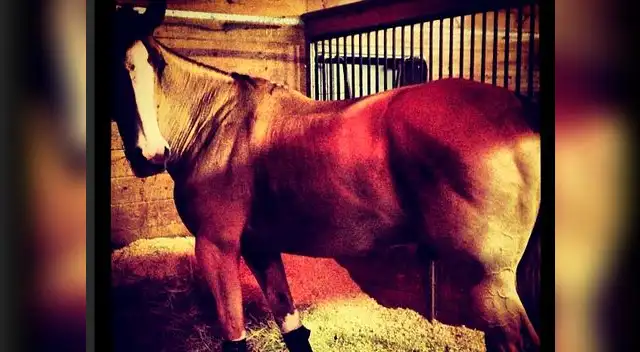 Madonna estrena cuenta en Instagram con eróticas fotos.