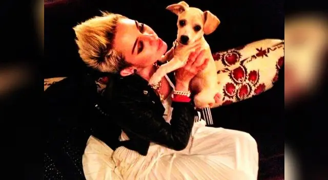 Miley Cyrus feliz por su nueva mascota. Miley Cyrus feliz por su nueva mascota.