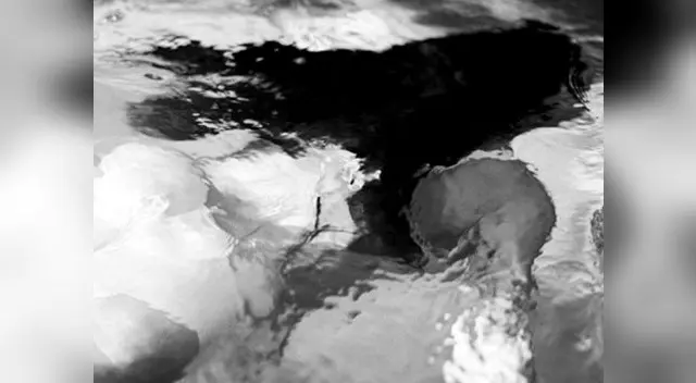 Kim Kardashian muestra el lado sexy de su embarazo para la lente de Egotastic.