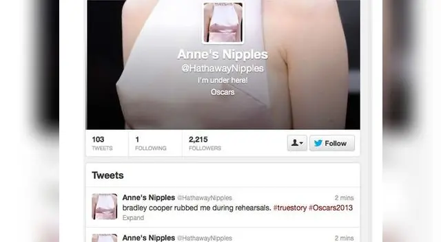 Cuenta de twitter creada para los pezones de Anne Hathaway