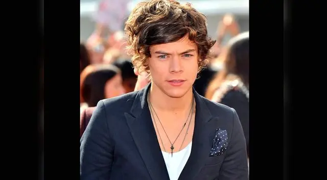 Harry Syles fue golpeado en los genitales con zapato. Harry Syles fue golpeado en los genitales con zapato.