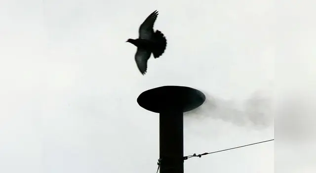 El humo blanco indica que ha sido elegido un nuevo Papa.