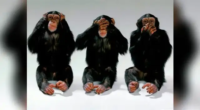 Eso le pasa por hablador. Guarda ahí.