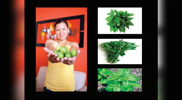 Aplica los machacados de col y limón en tu sien y frente.