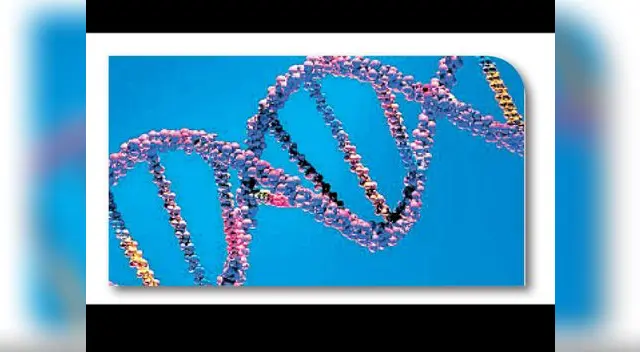 ¿Qué son los genes? ¿Qué son los genes?