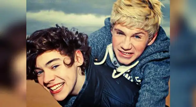 Harry Styles y Niall Horan, de One Direction, disfrutaron juntos de varias fiestas en Dublín. Harry Styles y Niall Horan, de One Direction, disfrutaron juntos de varias fiestas en Dublín.