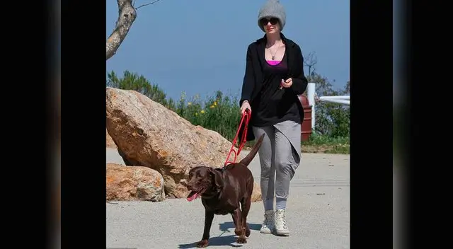 Anne Hathaway tomando un descanso de la industria del cine.