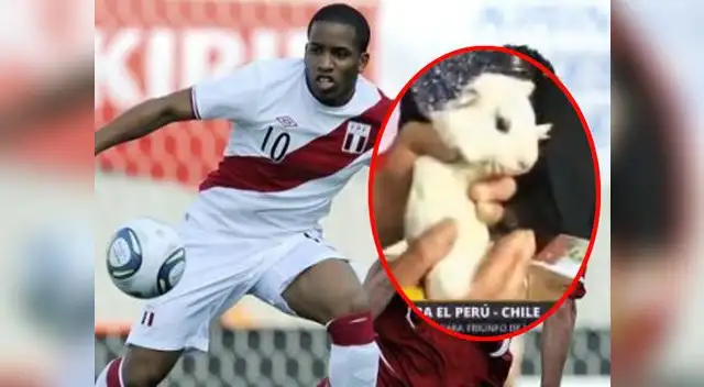 El cuy Yordy vaticina una victoria de nuestra selección ante Chile. El cuy Yordy vaticina una victoria de nuestra selección ante Chile.