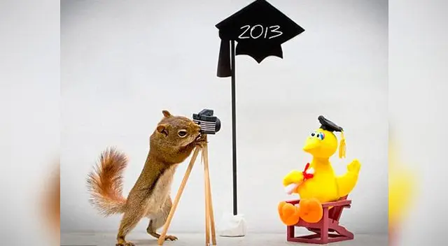 Fotos curiosas de mamíferos. Fotos curiosas de mamíferos.